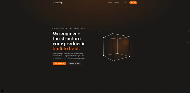 Saltancy Website